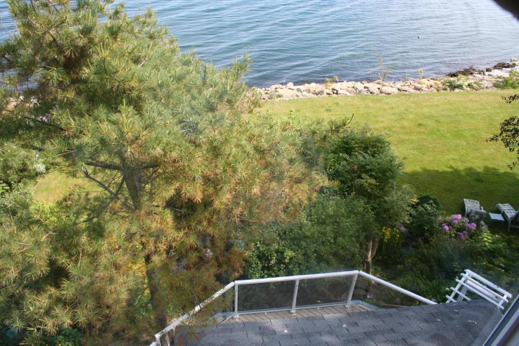 A Boat To Sea Bed & Breakfast North Sydney Buitenkant foto